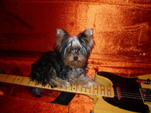 Princess Abby in Guitar Case