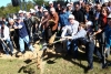 Country Crossing's Groundbreaking Done Right