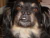 Snickers