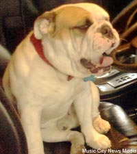 tracy-lawrence-dog-tank