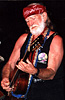 willie-plays-guitar